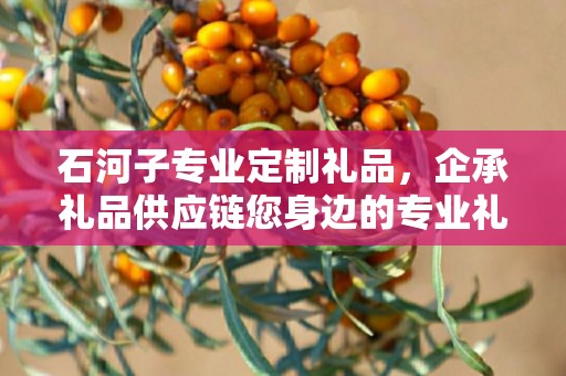 石河子专业定制礼品，企承礼品供应链您身边的专业礼品定制公司
